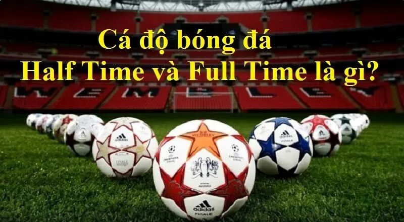 Hướng dẫn tham gia half time
